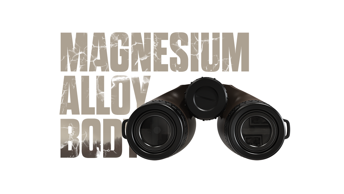 Magnesium alloy body